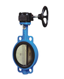 1638520533293417.png 蜗轮蝶阀1.png